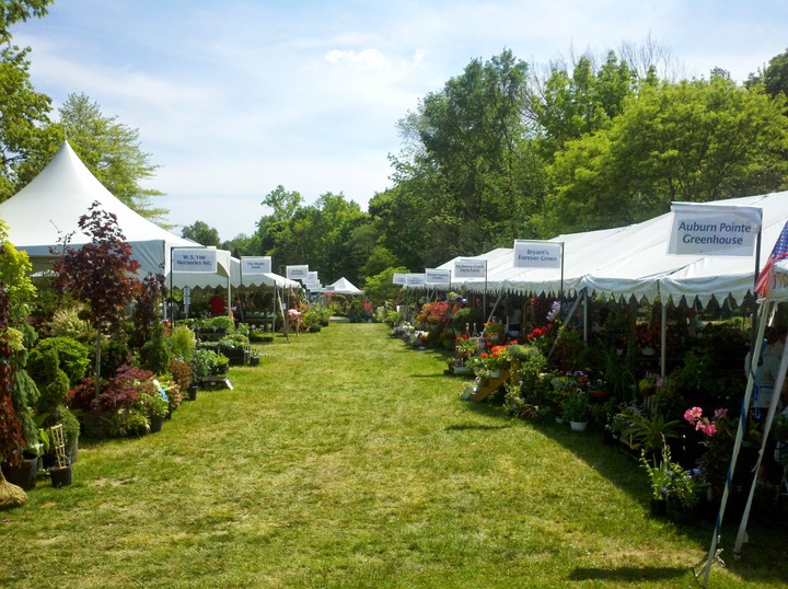 Campus outdoor tent for academic gathering